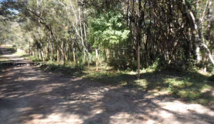 Chácara para Venda em Campina Grande do Sul, TIMBU VELHO