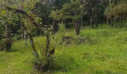 terreno para venda possui 3500 metros quadrados