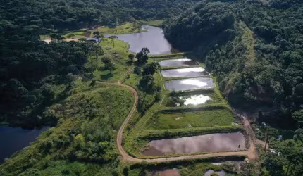 Fazenda para venda em Bocaiuva