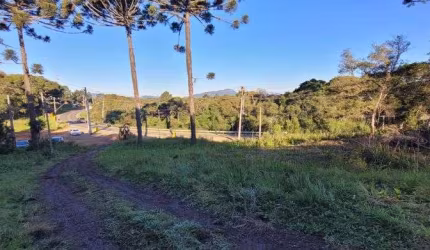Área Industrial para venda Campina Grande do Sul - PR