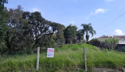 Terreno para venda com 4000 metros quadrados em Jardim Paulista - Campina Grande do Sul - PR