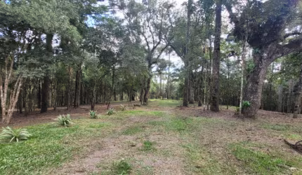 Terrenos a venda