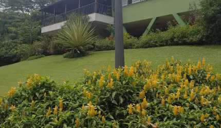 Belíssima Propriedade a venda no Samambaia!
