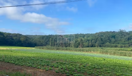 Terreno na cidade de Suzano São Paulo com a 194.153,97 m2.
