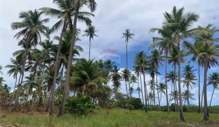 Terreno Imperdível em Tamandaré - 3942m²