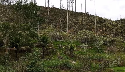 Fazenda Maravilhosa
