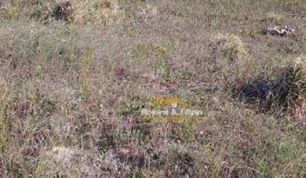 Terreno à venda, 395 m²  - Guairacá - Balneário Arroio do Silva/SC