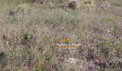 Terreno à venda, 2576 m² por R$ 800.000 - Salinas - Balneário Arroio do Silva/SC