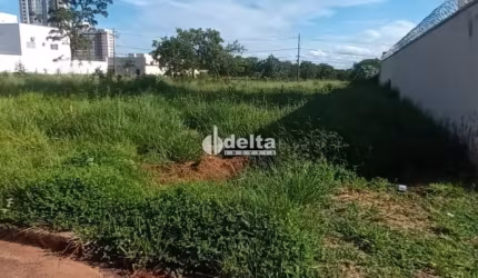 Belíssimo lote de 360m2 no Bairro Jardim Sul