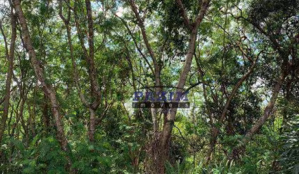 Terreno à venda, 943 m² - Condomínio Vista Alegre - Café - Vinhedo/SP