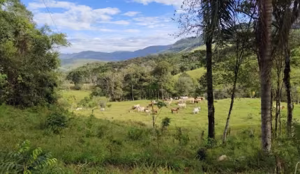 Maravilhosa Fazenda