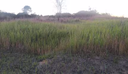 Terreno para Venda em Saquarema, Vilatur