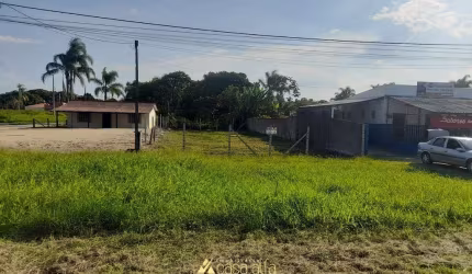 Terreno localizado em área comercial.