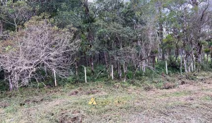 Terreno proximo a PR 407