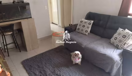 Apartamento à venda com 02 dormitórios (Quartos) Condomínio Serra Negra em Sumaré - SP