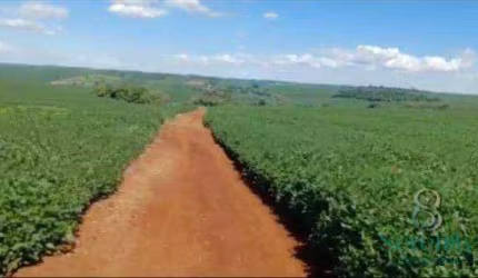 Sítio à venda, 387200 m² por R$ 5.000.000,00 - Guaravera - Londrina/PR