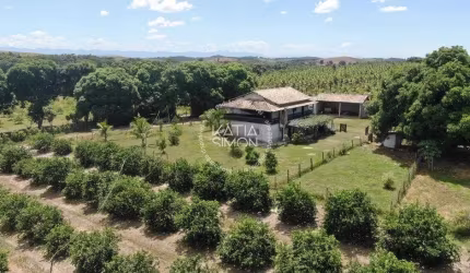 Sítio Fantástico com Plantação de Limão em Saquarema – Um Refúgio Natural e Produtivo
