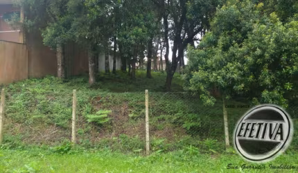 TERRENO 495 m²- SANTA FELICIDADE - CURITIBA