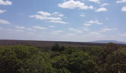 Vende-se excelente propriedade 230 hectares há20 km de Inajá-PE.