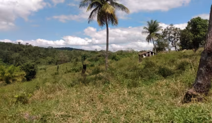 Propriedade em chã de Alegria-PE.