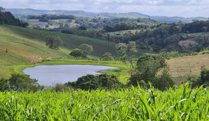 Propriedade em Quipapá-PE. 60 hectares