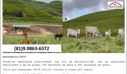 Vende-se excelente propriedade com 600 hectares em Barreiros-PE
