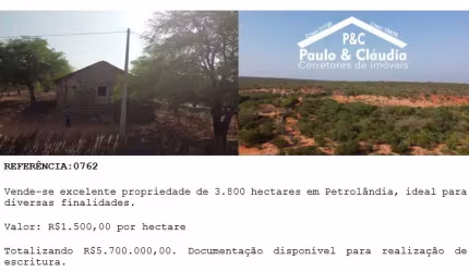 Vende-se excelente propriedade de 3.800 hectares em Petrolândia-PE