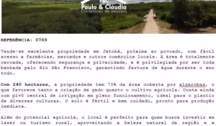 Vende-se excelente propriedade em Jatobá