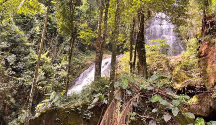 Chácara com Cachoeira a Venda