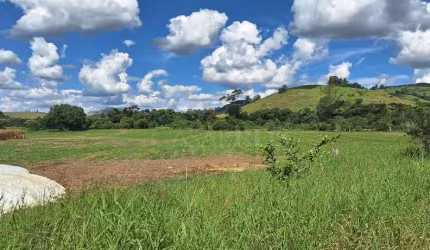 Área Rural de Plantio