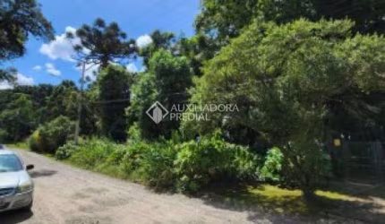 Terreno à venda na Dona Luiza Corrêa, 244, Suzana, Canela, 1100 m2 por R$ 797.000