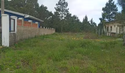 Terreno à venda no Bairro Curumim