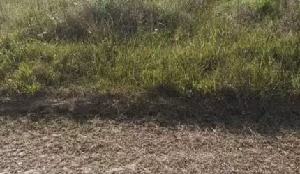 Terreno à venda no Bairro Curumim com 360 m² de área privativa