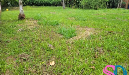 Excelente terreno, plano e aterrado, no melhor condomínio de Ubatuba - SP.