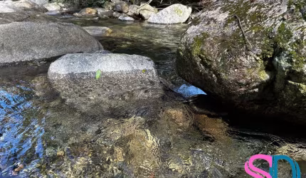 Lindo Sítio, com 7.000 m², no Pé da Serra, em Ubatuba - SP
