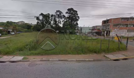 Terreno Terreno em Poá