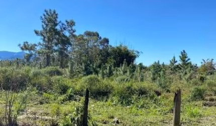 Terreno à venda no Centro, Terra de Areia  por R$ 225.000
