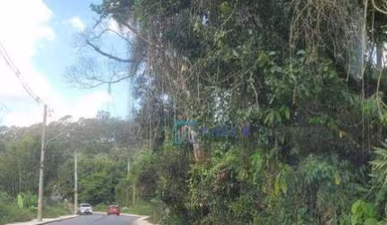 ITAQUERA  ÁREA  40.000 MS