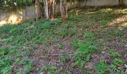Terreno à venda na Rua Francisco Albo, Escola Agrícola, Blumenau por R$ 385.000