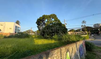 Terreno comercial para alugar na Rua Doutor José Ferreira de Camargo, S/N, Nova Campinas, Campinas por R$ 15.000