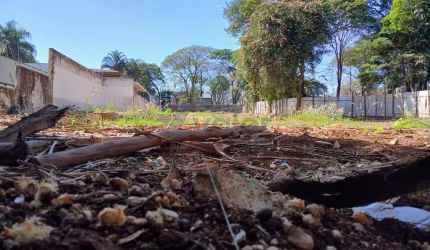 Terreno comercial para alugar na Avenida Doutor Jesuíno Marcondes Machado, 495, Nova Campinas, Campinas por R$ 25.000