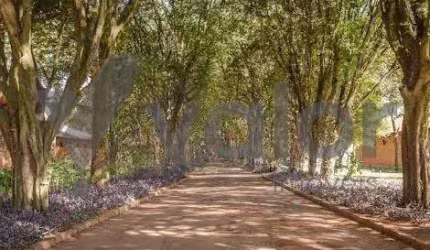 Terreno em condomínio fechado à venda na Avenida Haras Patente, s/n, Residencial Haras Patente, Jaguariúna por R$ 590.000