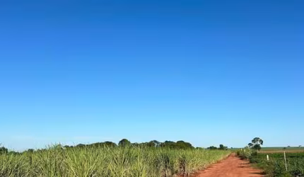 Sítio à Venda
