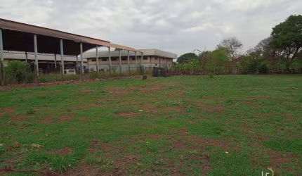 Terreno amplo, plano, 50 x 50, medindo 2.500 m2