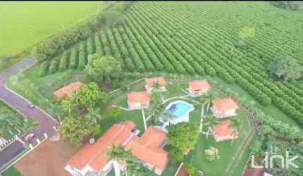 Fazenda de Citrus à Venda