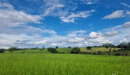 Fazenda Pecuária à Venda