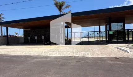 Reserva Buena Vista - Mosqueiro