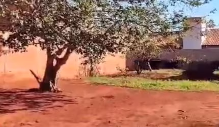 Lote / Terreno em Chácara do Ouro  -  Mogi Guaçu