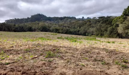 EXCELENTE CHACARA COM 35,000 M2 ROÇA VELHA 700,000,00