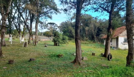 EXCELENTE CHACARA COM 6.000 M2 EM TIJUCAS RIO ABAIXO 350.000,00 PROXIMO HOTEL PASSAREDO